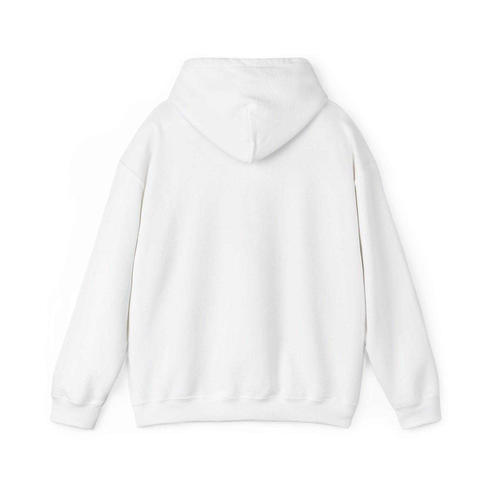 Vasectomies Prevent Pregnancy Hoodie — Funny Family Planning Sweatshirt